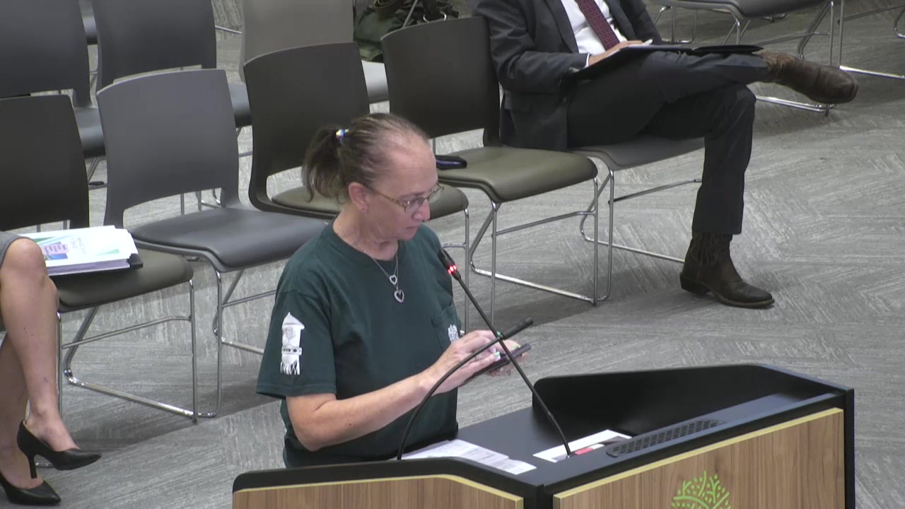 City Council meeting